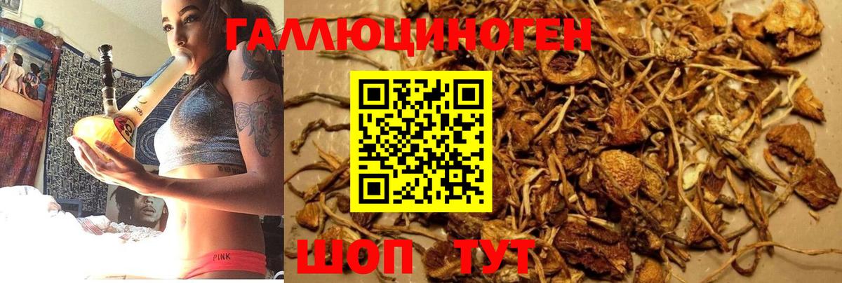 Галлюциногенные грибы мухоморы Кизилюрт